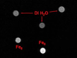 This test image shows what happens when nanomagnets are used to alter the nuclear properties of hydrogen in water, increasing brightness (bright spots below left and center) compared to deionized water (above).