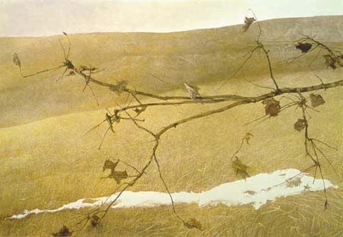 Long Limb, by Andrew Wyeth (1999)