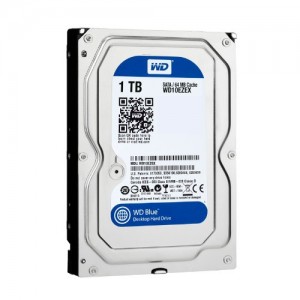 Western Digital Blue 1 TB (dual, mirrored RAID)